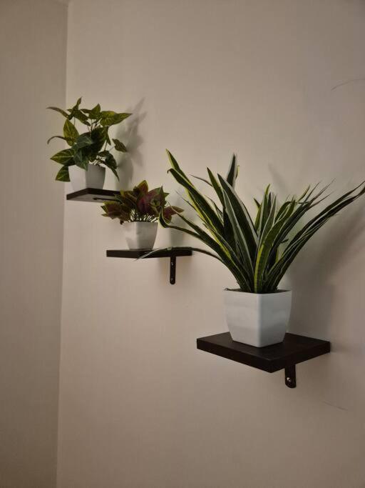 Apartament Sky View Near Nesco *